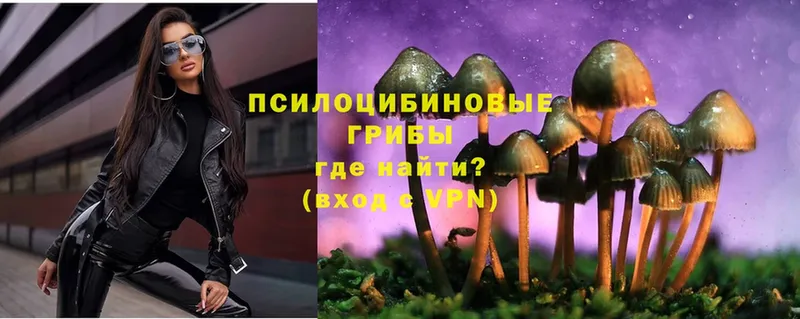 Галлюциногенные грибы Magic Shrooms  Кизел 